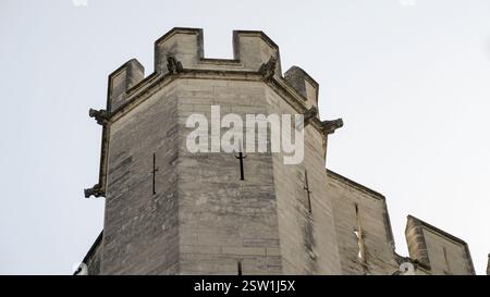 Die Festung und die Wasserspeier eines Turms des Papstpalais in Avignon, Frankreich Stockfoto
