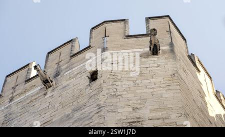 Die Festung und die Wasserspeier eines Turms des Papstpalais in Avignon, Frankreich Stockfoto