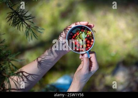 Nicht erkennbare Frauenhände halten einen touristischen Becher mit heißem Kräuterbeerentee inmitten von Zweigen im Wald Stockfoto