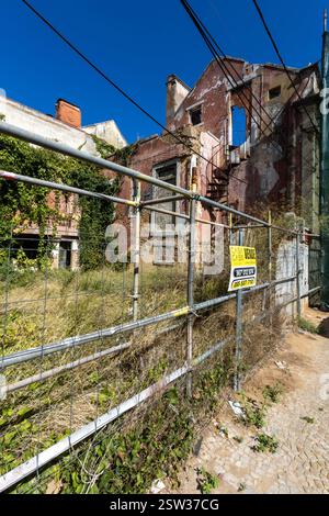 Eingang zu einem verlassenen Haus, das mit Pflanzen bewachsen ist. Zum Verkauf. Boken-Fenster und ein blauer Himmel. Stockfoto