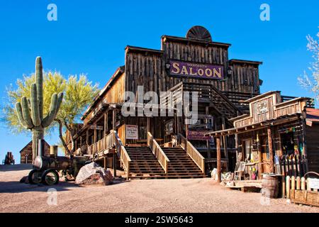 Rustikales altes Gebäude mit einem Schild mit der Aufschrift „Saloon“. Vor dem Gebäude befindet sich ein großer Kaktus Stockfoto