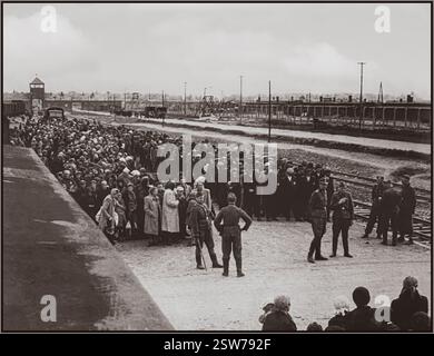AUSCHWITZ-BIRKENAU-HOLOCAUST-GEFANGENE BAHNANKOMMEN--Eine Vision der Hölle auf Erden. 1944. Nazis-Truppen in Militäruniform, die Jackstiefel tragen, "Grading" (Leben oder Tod) ahnungslose männliche und weibliche Gefangene auf der Bahnhalle vor dem Eingang zum Vernichtungslager Auschwitz-Birkenau. Das berüchtigte Lager Auschwitz wurde 1940 auf Befehl Adolf Hitlers während der Besetzung Polens durch Nazi-Deutschland im Zweiten Weltkrieg gegründet. Er wurde von Heinrich Luitpold Himmler, dem Reichsführer der Schutzstaffel und führenden Mitglied der NSDAP Deutschlands, begeistert ermöglicht. Stockfoto