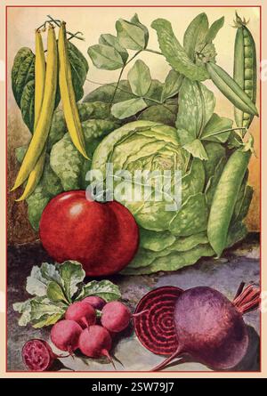 Illustration Vintage-Gemüse Dreers Garten 1902 Kalenderumschlag mit einer Vielzahl von bunten Gemüse, das aus Samen angebaut werden kann Stockfoto
