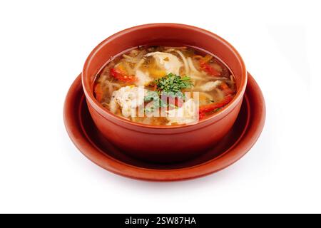 Dämpfen Sie Hühnernudelsuppe mit Gemüse in einer braunen Schüssel Stockfoto