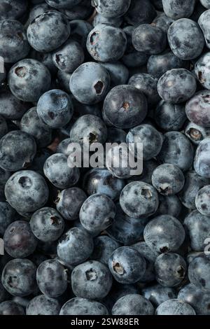 Rohe Bio Blaubeeren in einer Schüssel zum Essen Stockfoto