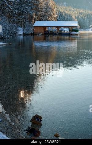 Dieses hochauflösende Foto fängt eine ruhige Winterlandschaft an einem ruhigen See ein. Ein schneebedecktes Holzdock erstreckt sich in glasklares Wasser, seine Pille Stockfoto