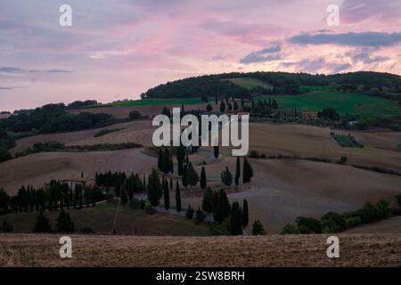 Sonnenuntergang über den sanften Hügeln der Toskana, Italien mit Zypressen und goldenen Feldern Stockfoto
