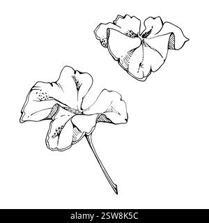 Pflanzenblätter der Blume, Buschbaum Laub Hand gezeichnet Vektortinte, Wolkenbeere alchemilla Ladys Mantel Geranie. Isolierte botanische Illustration. Hochzeit Stock Vektor