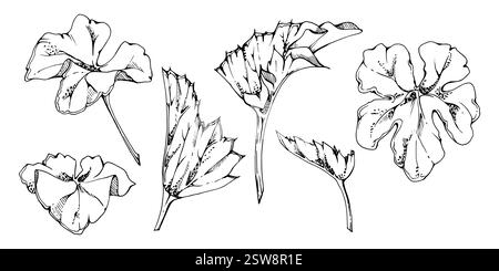 Pflanzenblätter der Blume, Buschbaum Laub Hand gezeichnet Vektortinte, Wolkenbeere alchemilla Ladys Mantel Geranie. Isoliertes botanisches Illustrationsset Stock Vektor