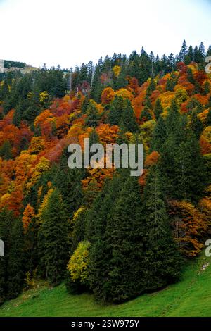Herbstfarben bedecken die Hügel des Falensees in Appenzell, Schweiz, und bieten einen atemberaubenden Ausblick Stockfoto