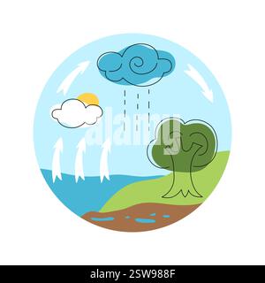 Den Wasserkreislauf mit Elementen der Natur in einer farbenfrohen Illustration verstehen Stock Vektor