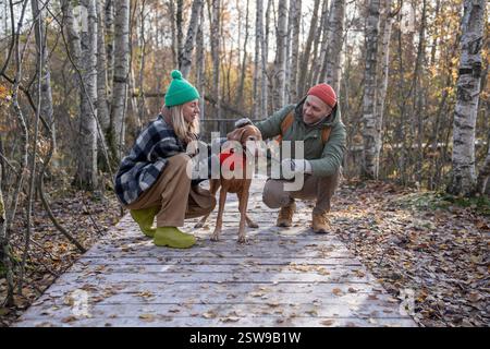 Lächelnde Tierbesitzer spielen mit geliebtem Hund, während sie Zeit im Wald am sonnigen Herbsttag verbringen Stockfoto