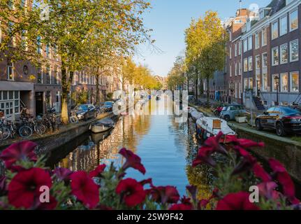Atemberaubende Herbstfarben, die sich auf Amsterdams ruhigen Kanälen spiegeln, gesäumt von charmanten Häusern Stockfoto
