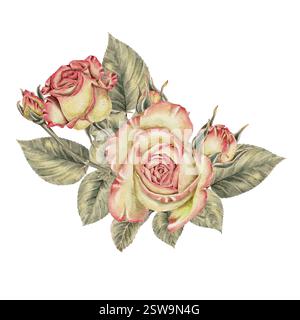 Gelbe und rosa Rosen und grüne Blätter Kompositionskarte. Aquarellillustration für Karten, Einladungen, Feiertage Frühling, Geburtstag, Valentinstag, Hochzeit oder Muttertag. Stockfoto