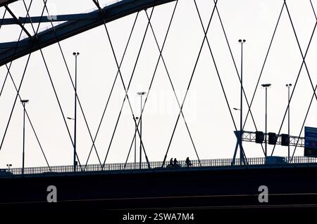 Van Brienenoordbrug über den Fluss 'Nieuwe Maas', Rotterdam, Niederlande. Stockfoto