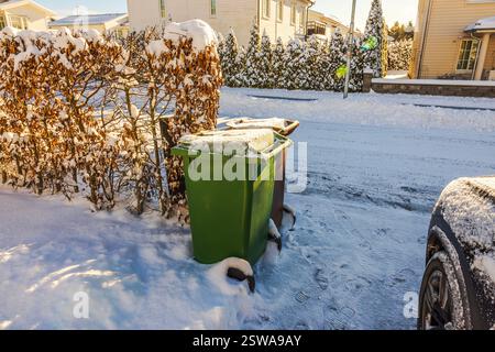 Grüne und braune Mülltonnen, die mit Schnee bedeckt sind, stehen am Wintermorgen in der Nähe der Hecke in Wohngegend. Schweden. Stockfoto