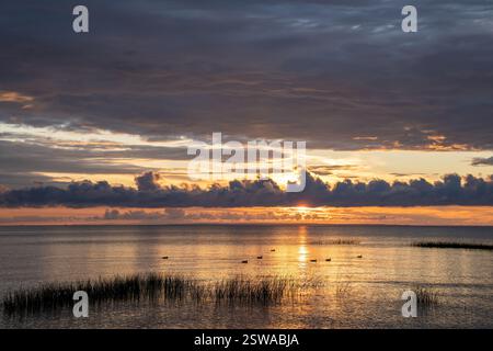 Sonnenuntergang am Himmel mit Wolken über dem See. Die Sonne geht langsam über dem Teich unter und Enten färben ihn orange Stockfoto