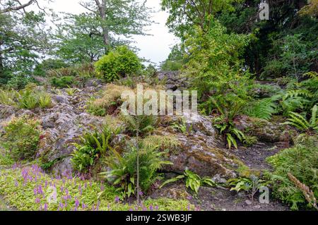 Ein felsiger Hügel mit einer Vielzahl von Pflanzen einschließlich Farnen und Moos. Die Pflanzen wachsen auf den Felsen und der Hügel ist von grüner Vegetation bedeckt Stockfoto