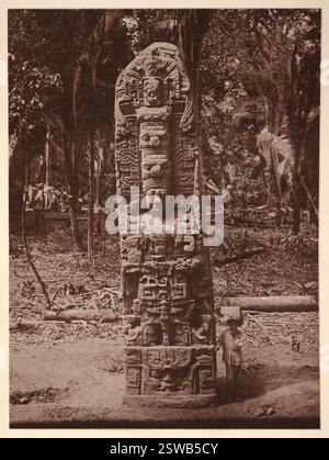 Stela D. Quirigua, eine archäologische Stätte der Maya in Guatemala. Maya-Schnitzerei mit Menschen, die neben ihm stehen, um Proportionen zu erhalten. Archivfoto von Alfred Percival Maudslay von Quirigua archäologische Ausgrabungsstätte in den 1880er Jahren Stockfoto