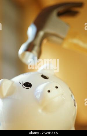 Die Schweinebank mit dem Hammer brechen Stockfoto