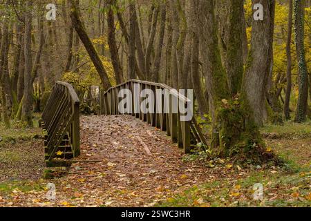 Eine hölzerne Fußgängerbrücke, bedeckt mit gefallenen Blättern in einem ruhigen herbstlichen Wald, der die Natur ruhig zurückzieht Stockfoto
