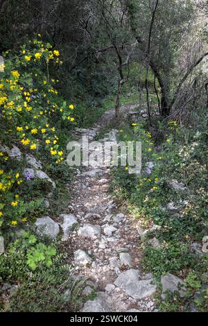 Outdoor-Aktivitäten auf dem Fluss Nestos in der Nähe von Xanthi und Rodopi in Griechenland, Wandern, Kajak und Rafting, Panoramablick. Stockfoto