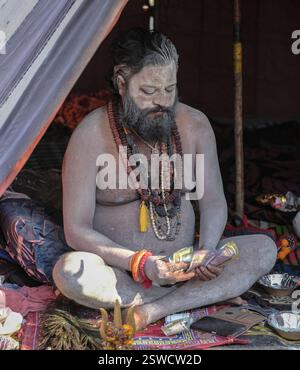 Ein Naga Sadhu zählt Geld, bevor er einem Fernsehsender ein Interview während der Kumbh Mela in Prayagraj, Indien gab. Stockfoto