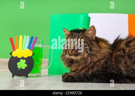 Niedliche Katze in Kobold Hut mit einem Becher Bier und irischer Flagge für die St. Patrick's Day Feier in der Nähe der grünen Wand Stockfoto