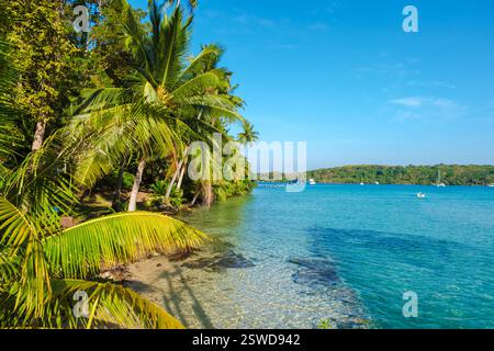 Entdecken Sie die Ruhe von Koh Koods kristallklarem Wasser und üppigem Grün Stockfoto