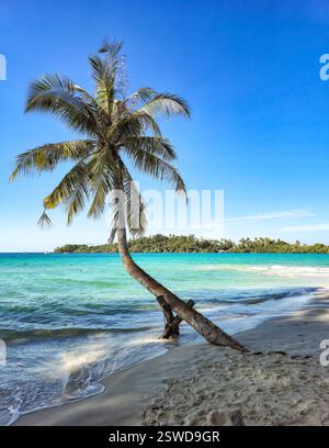 Ruhe an Koh Koods palmengesäumter Küste unter einem hellen blauen Himmel Stockfoto