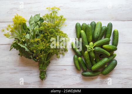 Gurkenkonserven-Konzept. Gewürzset zum Einlegen von Gurken für den Winter. Stockfoto