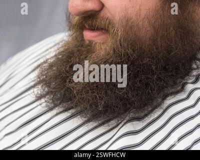 Bärtiger Mann aus nächster Nähe mit grauem Hintergrund. Großer bärtiger Mann. Stockfoto