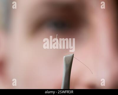 Graues Haar auf Pinzette auf dem Hintergrund des Gesichts. Stockfoto