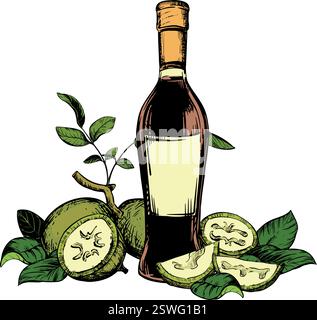 Die Vektorzusammensetzung von Nussbaum in der Farbgravurtechnik. Unreife Walnusskerne liegen ganz und Hälften, Blätter und Zweige auf dem Tisch. Flasche für Nocino-Likör. Skizze mit linearer Tinte. Stock Vektor