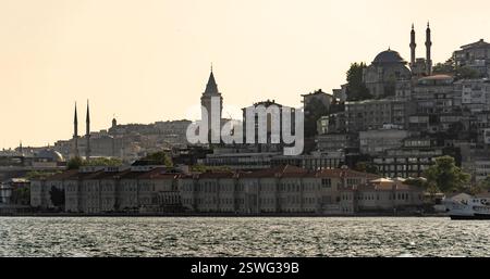 Ein malerischer Blick auf Istanbuls Skyline mit historischer Architektur, einschließlich des Galatenturms und Moscheen, vor einem trüben Himmel. Der Vordergrund sh Stockfoto
