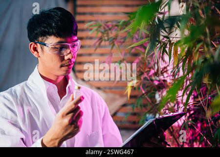 Marihuana-Forscher asiatischer Mann, der eine Brille trägt und eine Fläschchenflasche und ein Clipboard hält, um es zu überprüfen Stockfoto