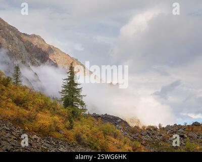 Farbenfrohe Herbstlandschaft mit Berg- und Nadelbäumen auf einem Hügel mit Blick auf den Waldberg in goldener Sonne in niedrigem Clou Stockfoto