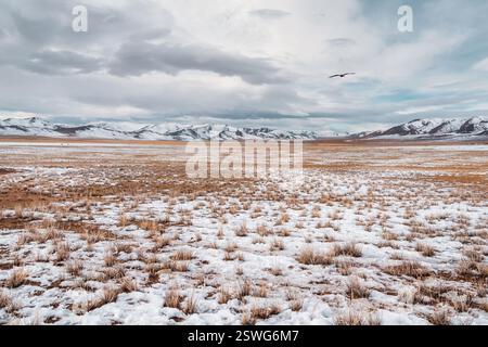 Verschneite Bergprärie. Wunderschöne Schneeszene in Wildnis am blauen Wolkenhimmel. Verschneite Weidelandschaft im Winter. Mongolei Landschaften Stockfoto