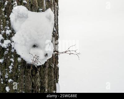 Winterspaß: Ein Schneetiger auf einem Baum. Stockfoto