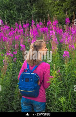 Frau auf einem blühenden Feld Weidenkraut. Reisekonzept mit leichtem Rucksack. Stockfoto