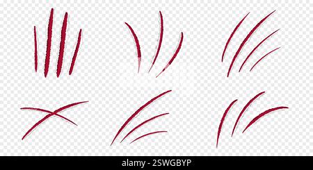 Katzenklauen rote Kratzer, gerissene Papierkante isoliert auf transparentem Hintergrund realistisch. Strukturierte Löcher mit beschädigter Oberfläche. . Vektorabbildung Stock Vektor