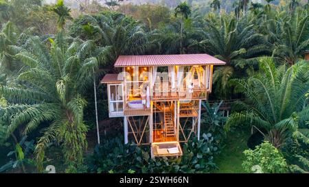 Einzigartiger Baumhaus-Rückzugsort umgeben von üppigem Grün im Dschungel-Regenwald Stockfoto