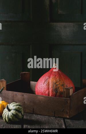 Auswahl an verschiedenen Kürbissen Stockfoto