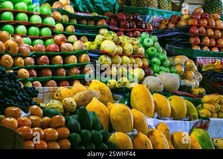 Ein farbenfroher peruanischer Obststand mit frischen Mangos Orangen Trauben Avocados Äpfeln und Cherimoya, die wunderschön zusammen präsentiert werden Stockfoto