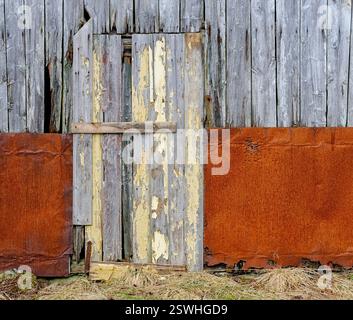 Eine rustikale Scheunentür zeigt abgebrochene Farbe und eine provisorische Holzspange, eingerahmt von alten Metallblechen in einer ruhigen ländlichen Umgebung. Stockfoto