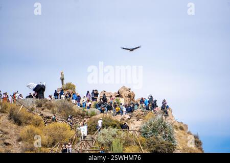 Besucher versammelten sich, um einen Kondor am Mirador del Condor im Hochland des Colca Canyon Peru zu beobachten Stockfoto
