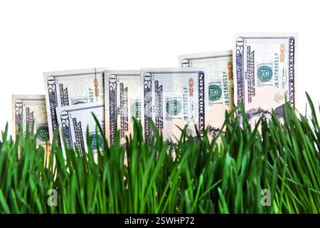 Amerikanische Währung auf dem frischen Gras. Konzept für steigende Dollars Stockfoto