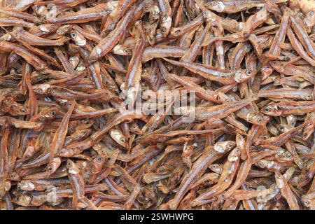 Eine Nahaufnahme oder Makroaufnahme von rohen Sardellen-Trockenfischen Stockfoto