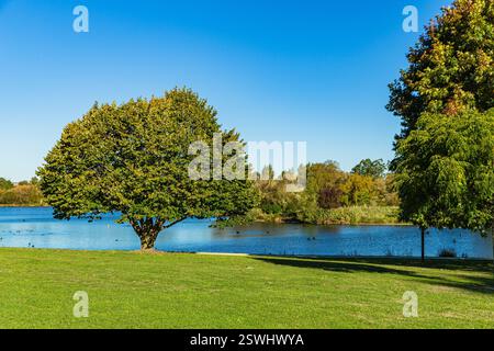 Henley Lake Park in Masterton, Wellington, Neuseeland Stockfoto