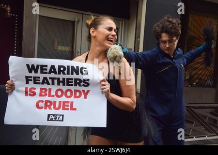 London, Großbritannien. Februar 2025. Eine PETA-Aktivistin (People for the Ethical Treatment of Animals), die ein Plakat mit dem Titel „Tragen Feathers is Bloody Cruel“ hält und als „Strauß“ gekleidet ist, hat ihre Federn während eines Protestes vor der London Fashion Week NEWGEN Show Space on the Strand „heftig zupfen“. Die Aktion ist Teil der laufenden PETA-Kampagne gegen den Einsatz von Federn in der Mode. Quelle: SOPA Images Limited/Alamy Live News Stockfoto